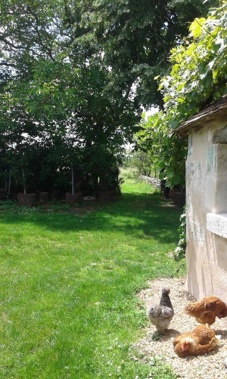 Zahrada ubytování la vigneraie