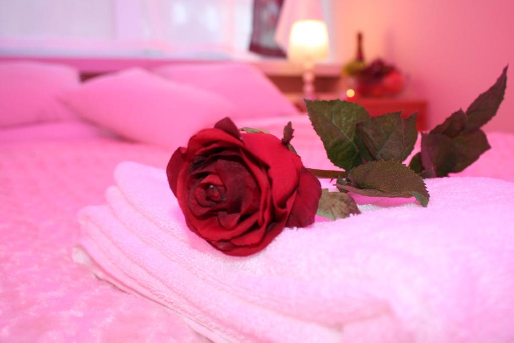 a red rose sitting on top of a bed at Apartament z baldachimem i pięknym widokiem Olsztyna in Olsztyn