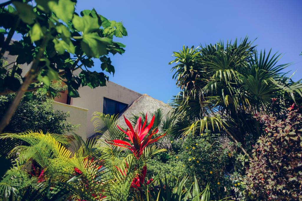 Jardin de l'établissement Aquatech Villas DeRosa Resort