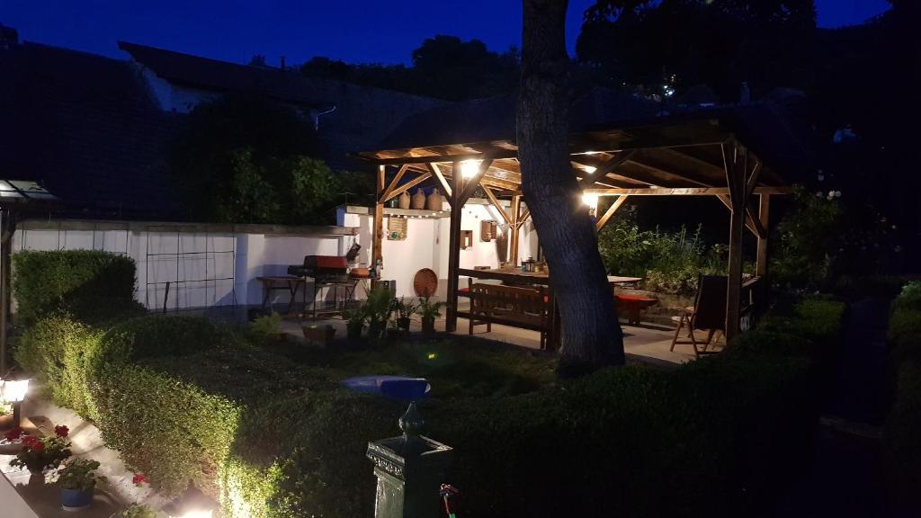 Zahrada ubytování Casa Vanatorului