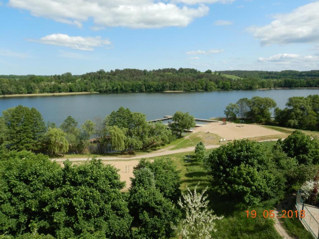 an aerial view of a lake with trees at Apartament Nad Czosem in Mrągowo