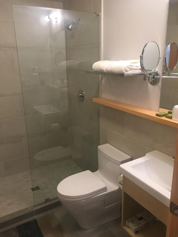 a bathroom with a shower and a toilet and a sink at Harbour House Hotel in Ganges