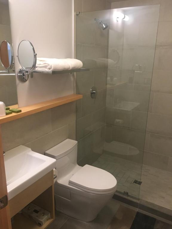 a bathroom with a toilet and a glass shower at Harbour House Hotel in Ganges