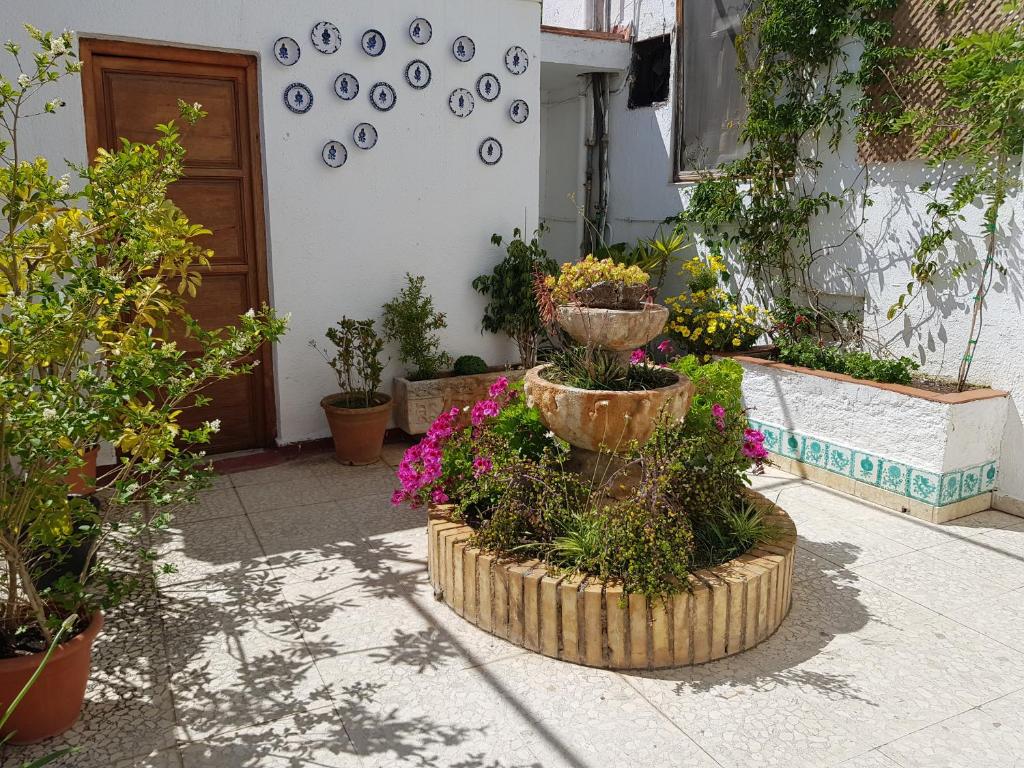 Vonkajšia záhrada v ubytovaní Hotel Lanjaron