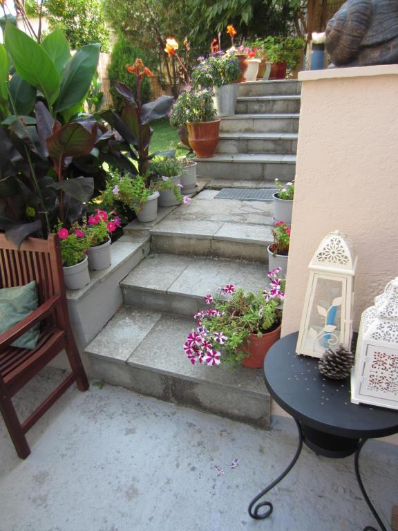 Vivi Apartments - 18