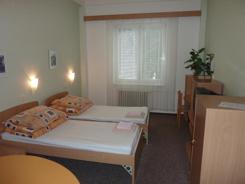 Postel nebo postele na pokoji v ubytování Hotelový Dům
