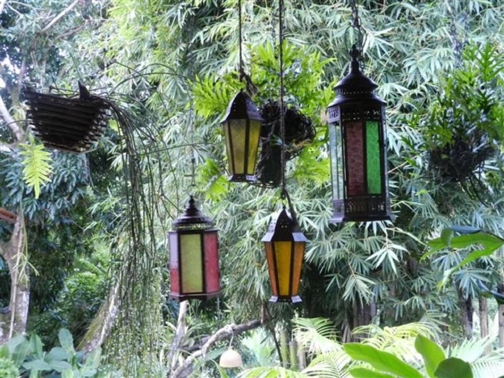 Sitio Alto da Montanha - você em paz com a natureza  Sitio Alto da Montanha - você em paz com a natureza