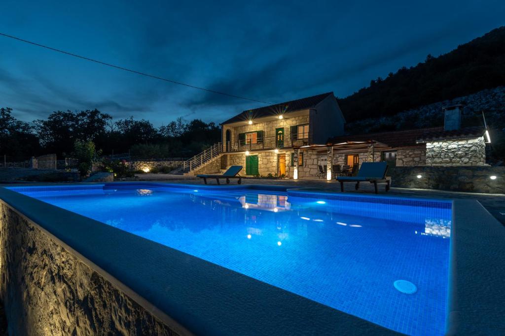 - une piscine en face d'une maison la nuit dans l'établissement Villa Žuža, à Bristivica