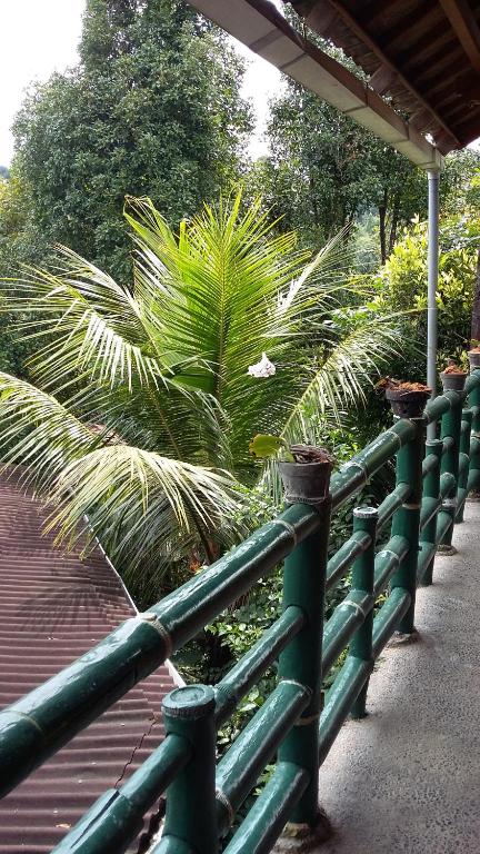 Villa Dua Bintang - 17