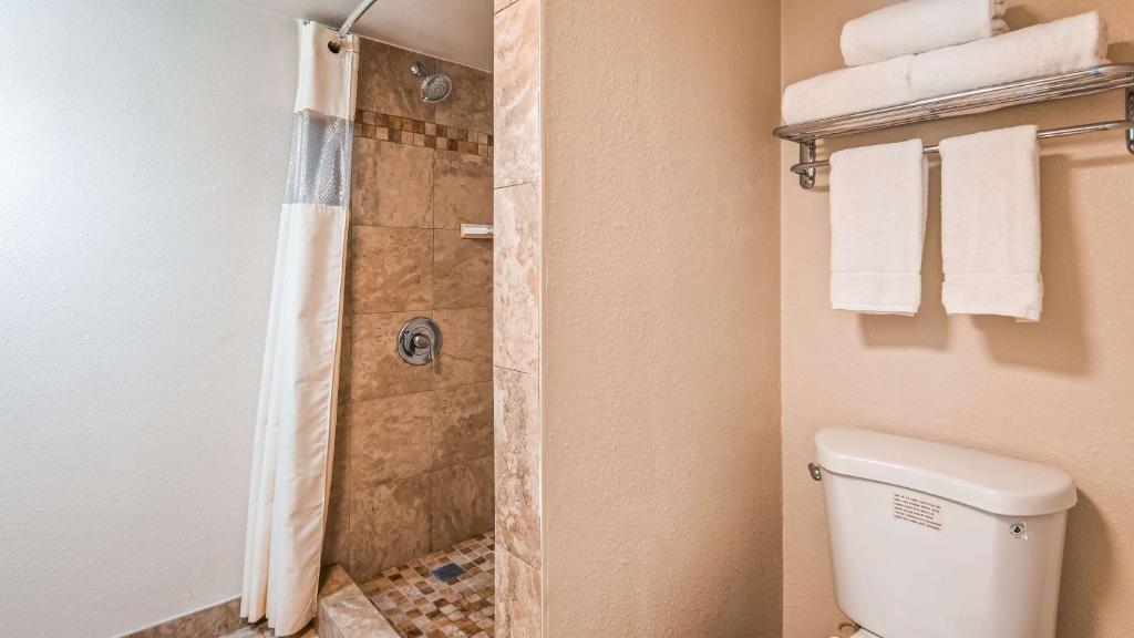 a bathroom with a shower and a toilet at Best Western Town House Lodge in Modesto