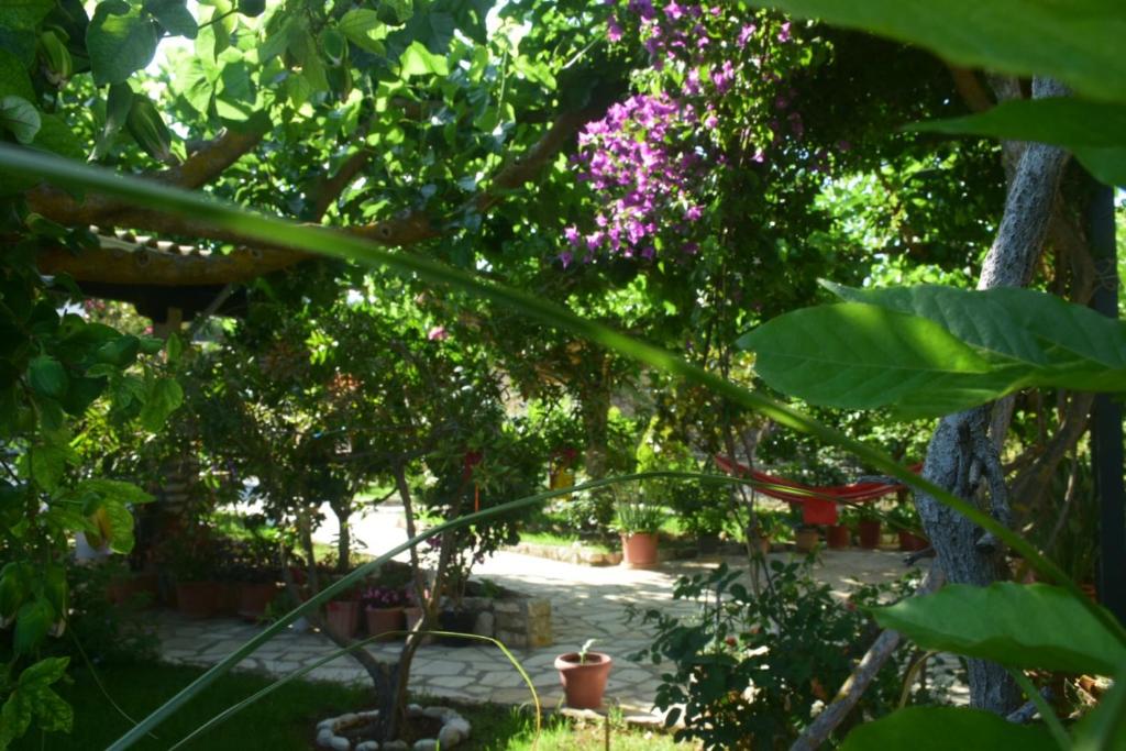Vonkajšia záhrada v ubytovaní Sparto Village