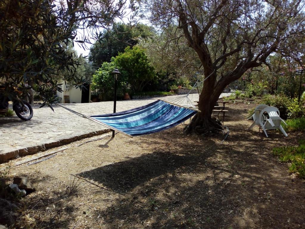 Molivos View Studios - 19