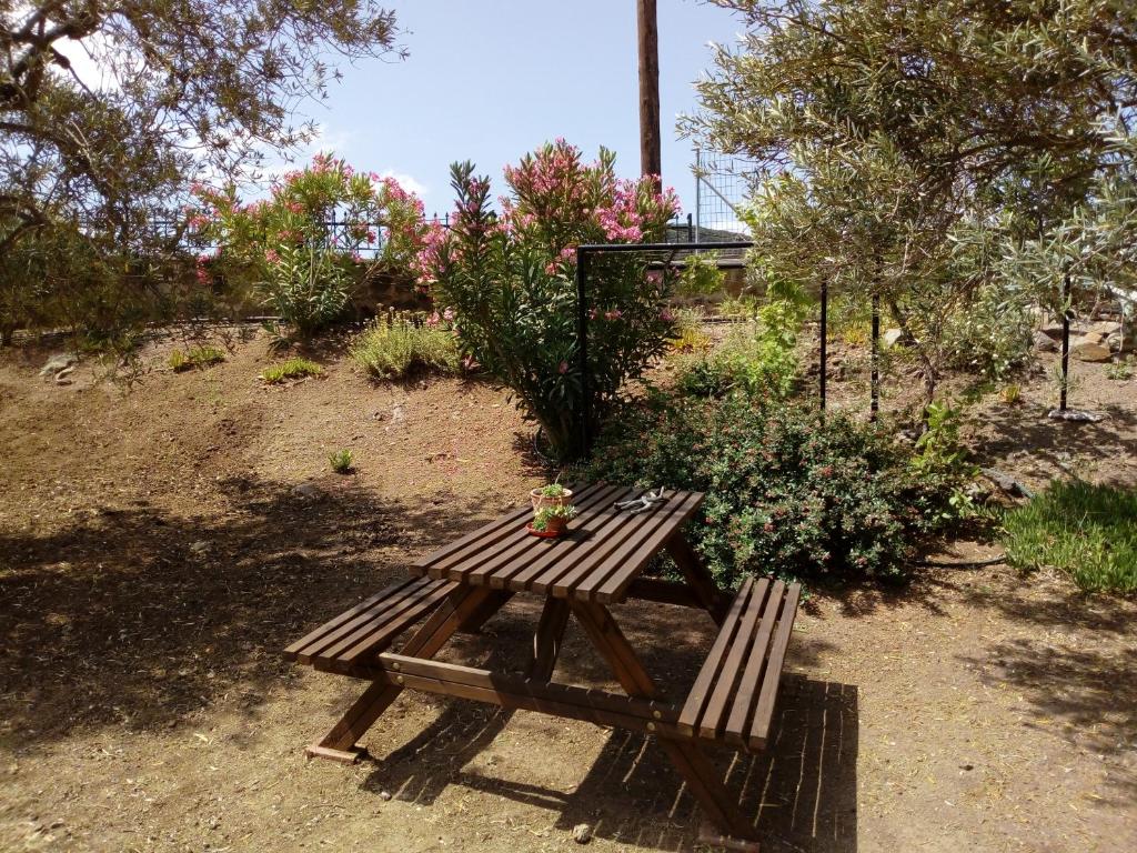 Molivos View Studios - 18