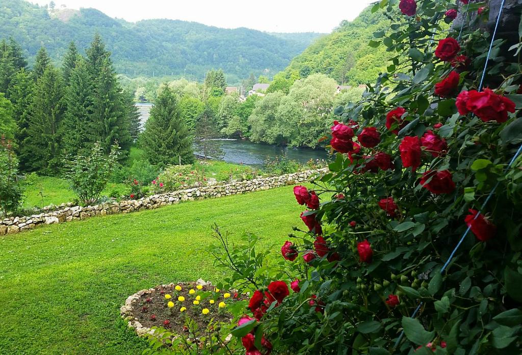 Příroda nedaleko bed and breakfast