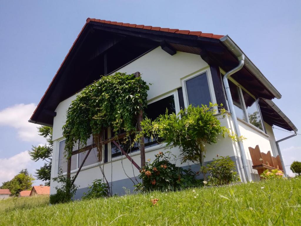 uma casa com plantas ao lado dela em Kuća za odmor ,,Oletić 2" em Sveti Martin na Muri