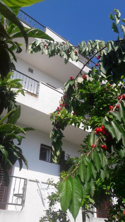 a white building with a bunch of plants in front of it at Apartments Lans in Vodice
