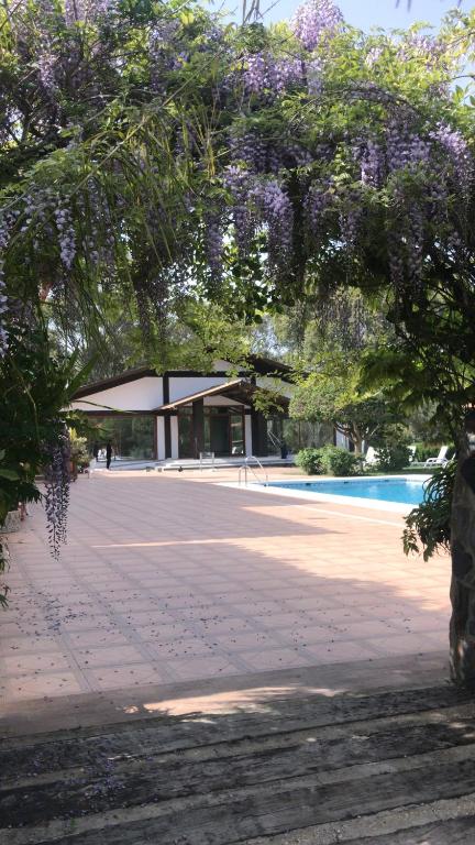 a park with a building and a tree with purple flowers at Hotel El Paso in Vejer de la Frontera