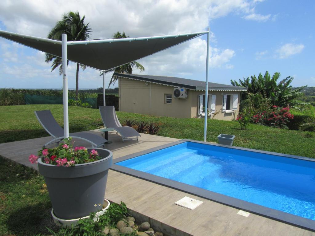 einen Pool mit Sonnenschirm und zwei Stühlen und ein Haus in der Unterkunft Ti'Chouchou in Ravine Chaude