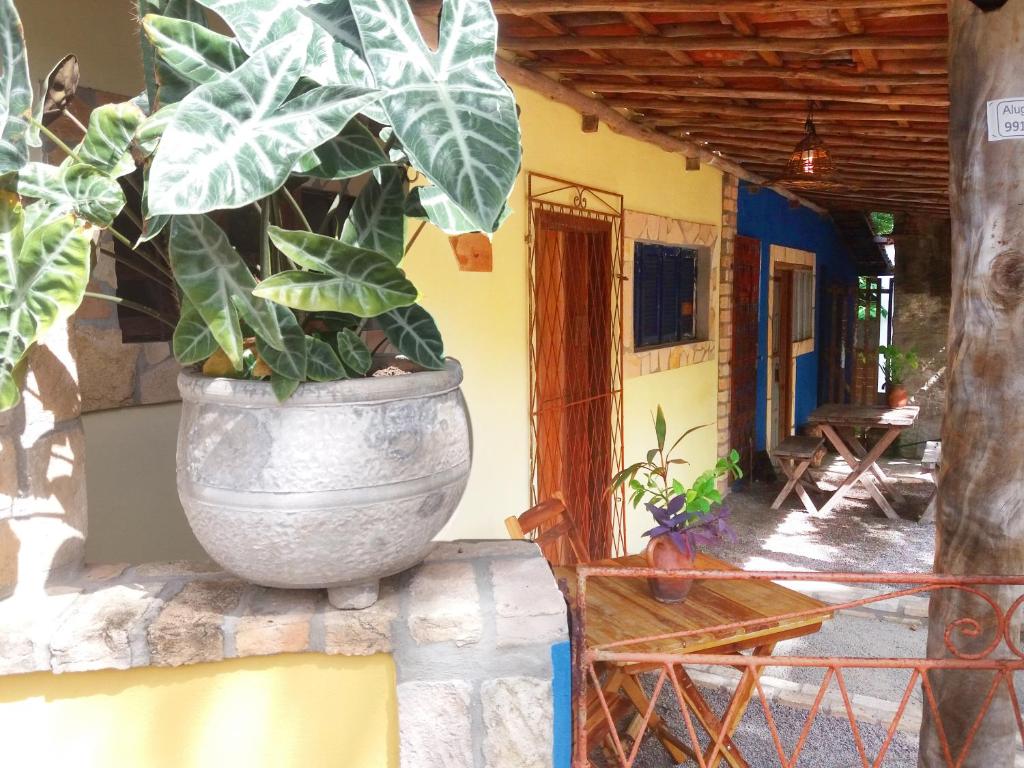 a plant in a large pot on the side of a house at Casinhas Vila Bonita Amarela in Baía Formosa