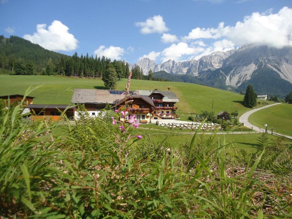 uma casa num campo com montanhas ao fundo em Pension-Greimelbacherhof em Ramsau am Dachstein