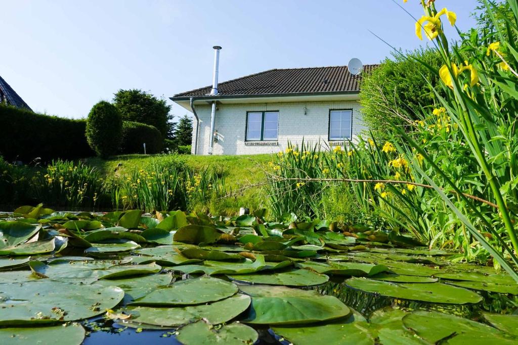 WesterholzにあるFerienhaus Auszeitの家の前のユリの池