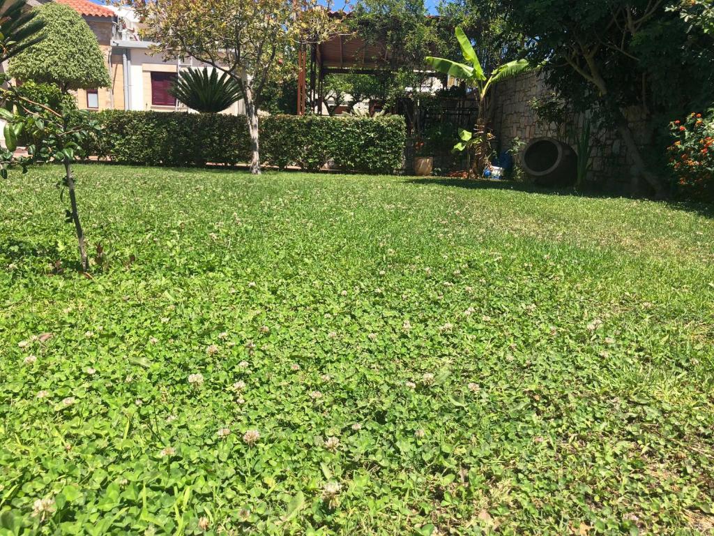 Vonkajšia záhrada v ubytovaní PRIVATE Sapphiros Villa