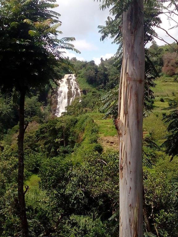 Nature's Glow Homestay And Resturant - 18