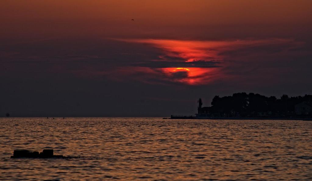 Príroda v okolí apartmánu