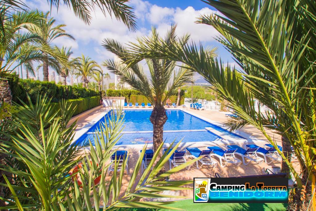 a swimming pool with palm trees and chairs at Camping La Torreta in Benidorm