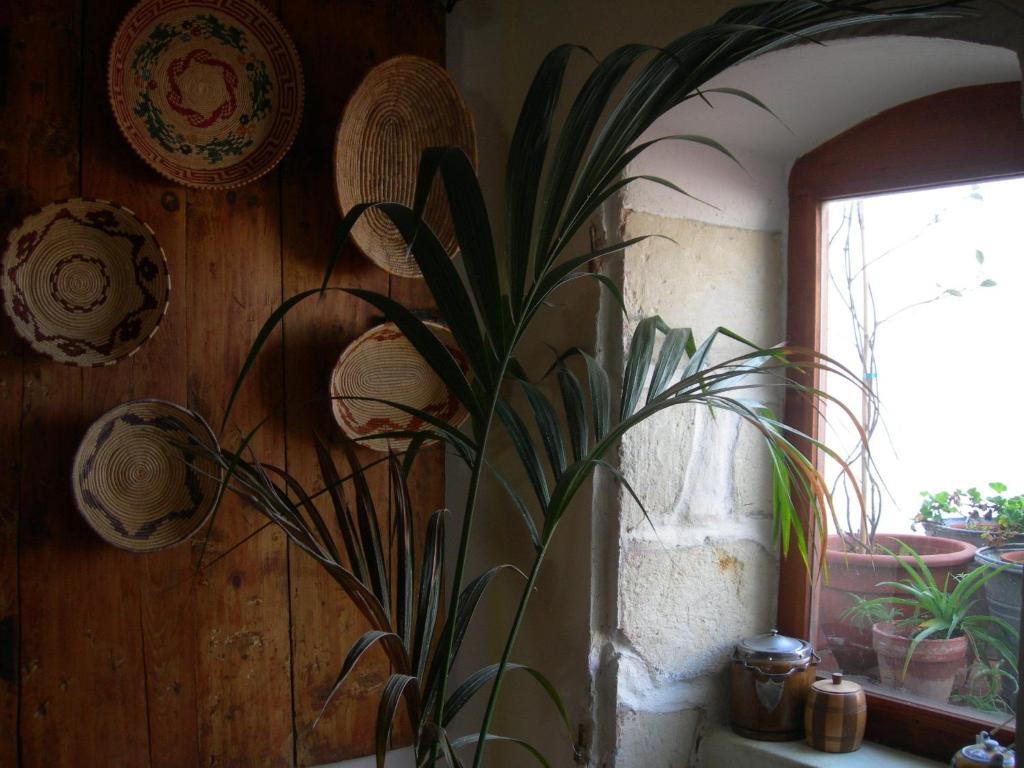 Fotografie z fotogalerie ubytování Piazza San Pantaleo v destinaci Sorso