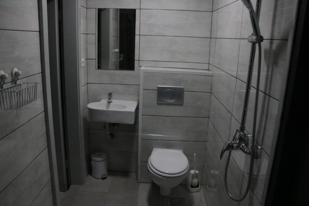 a small bathroom with a toilet and a sink at Hostel Sleeping Beauty in Ljubljana