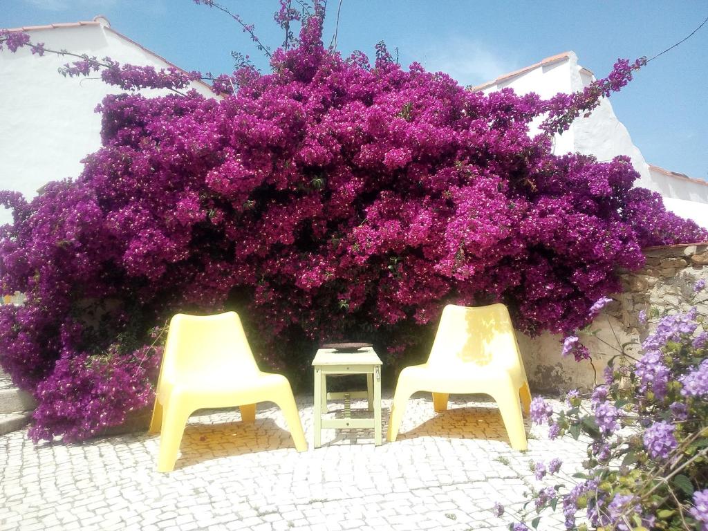 Zahrada ubytování Quinta Laranja - Turismo Rural -