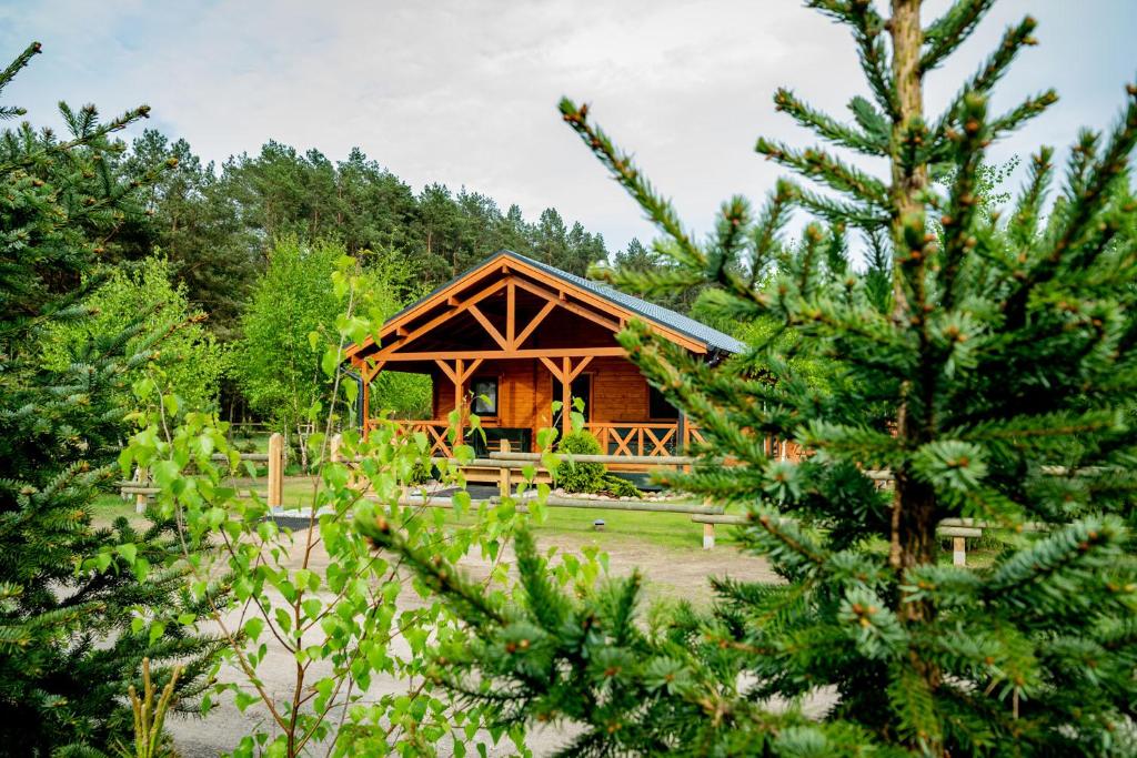 uma cabana na floresta com um pinheiro em Chata na Polanie em Tarnowo