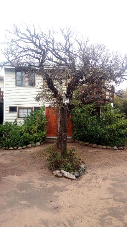 Fotografie z fotogalerie ubytování Algarrobo Suites v destinaci Algarrobo