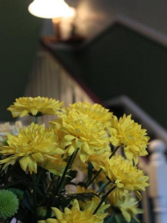 Foto dalla galleria di Belvedere Lodge a Cork