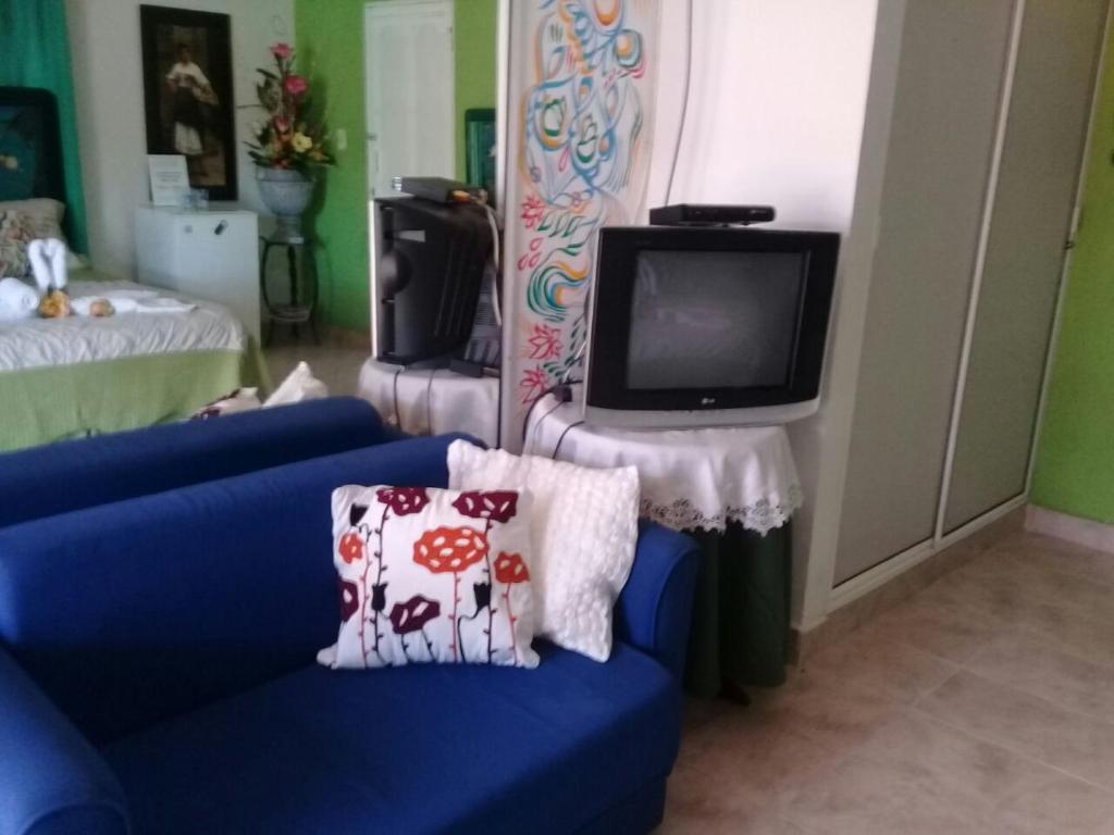 TV a/nebo společenská místnost v ubytování Posada Nativa Licy