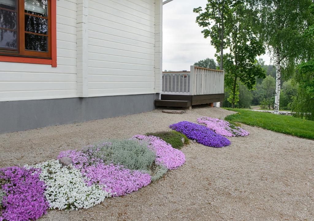 Zahrada ubytování Vasekoja Holiday Center
