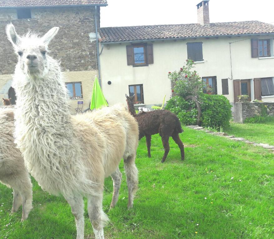 Fermer Non Reservable - Housity