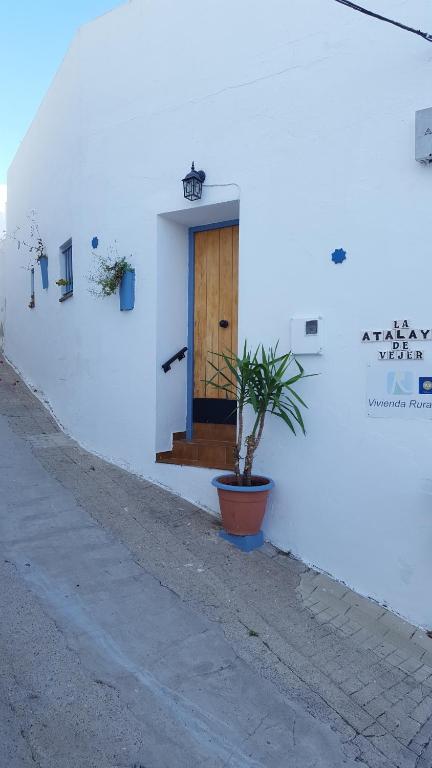 a white building with a wooden door and a plant at Holiday home La Atalaya de Vejer in Vejer de la Frontera