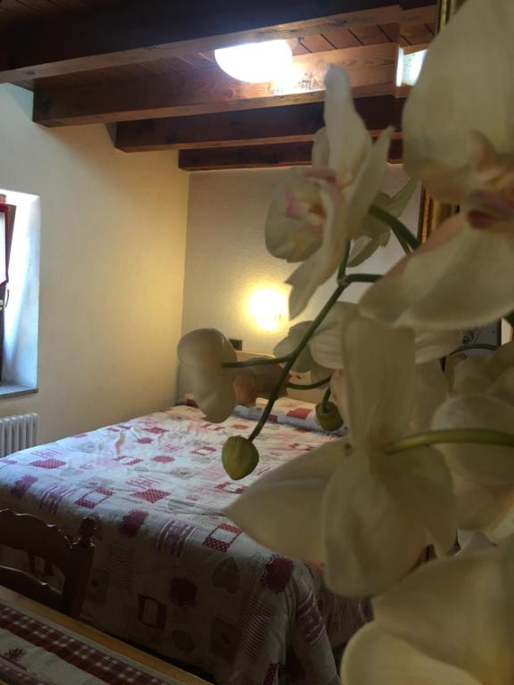 B&B La Vieille Meison de Pappa - 14