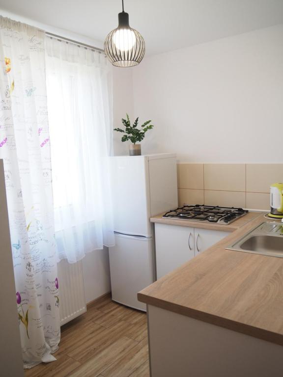 Kuchyňa alebo kuchynka v ubytovaní Apartament Mrągowska - Żabi Staw