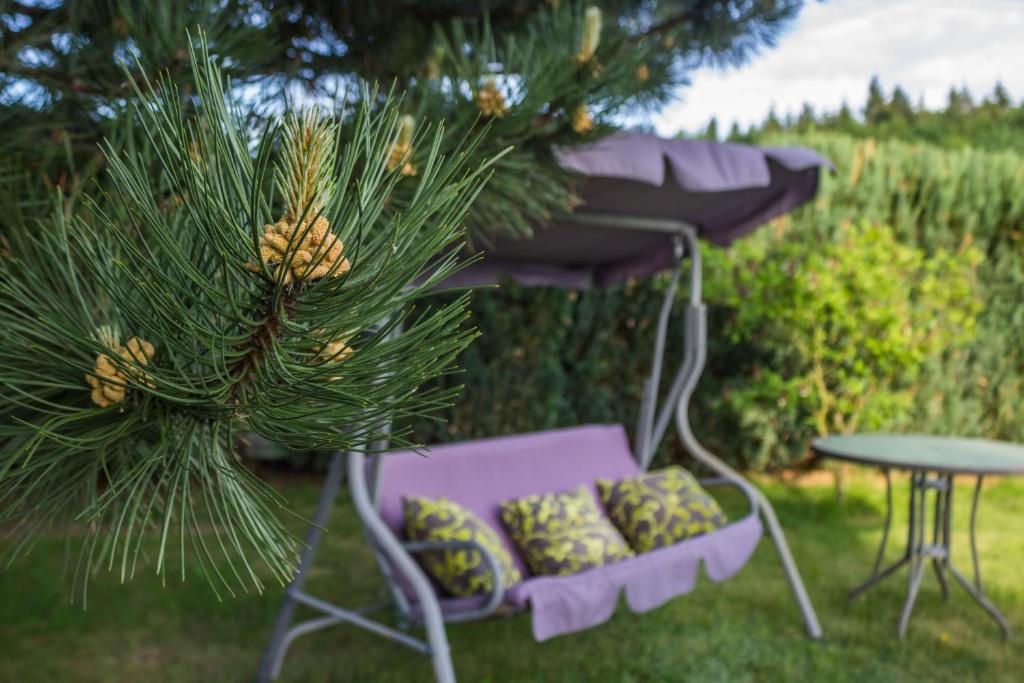Ogród w obiekcie Vila Les Kralovstvi