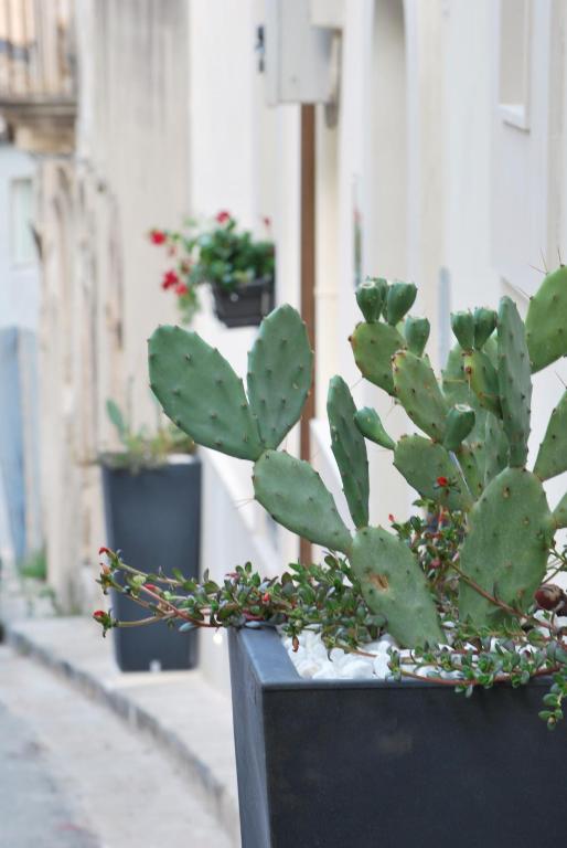 Fotografie z fotogalerie ubytování A Casa Di Grazia v destinaci Ragusa