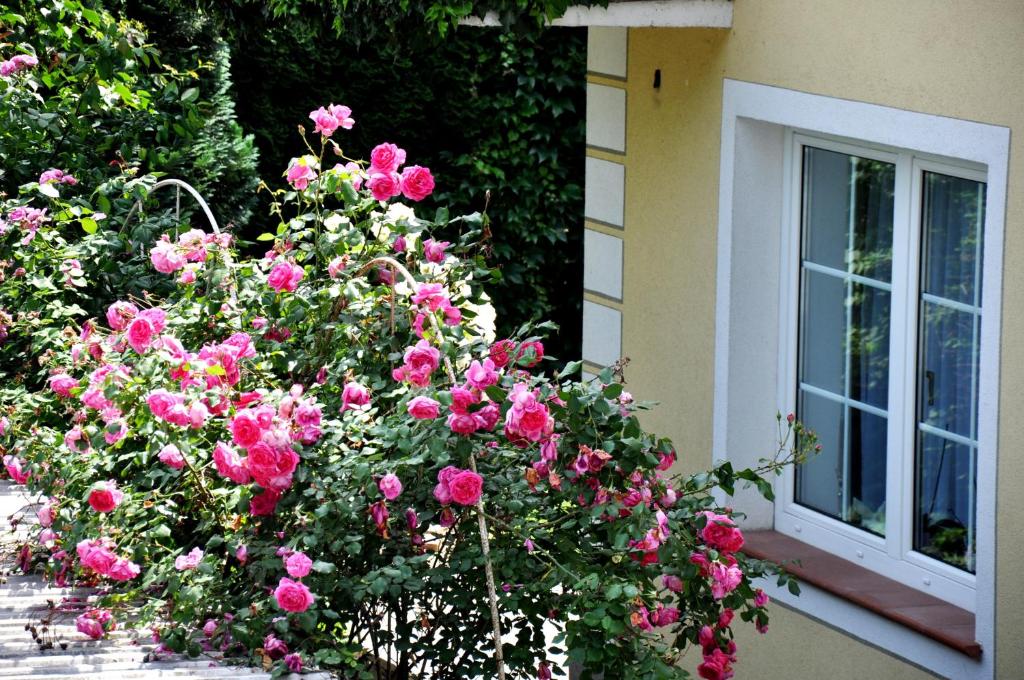 Vonkajšia záhrada v ubytovaní Gästehaus Wachau
