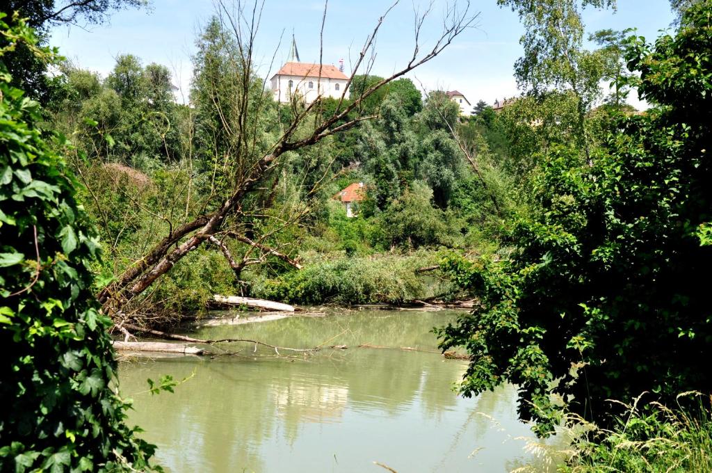 Príroda v okolí penziónu