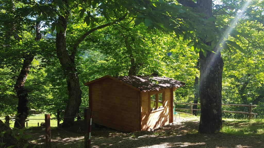 Fotografie z fotogalerie ubytování Camping Camaldoli v destinaci Camaldoli