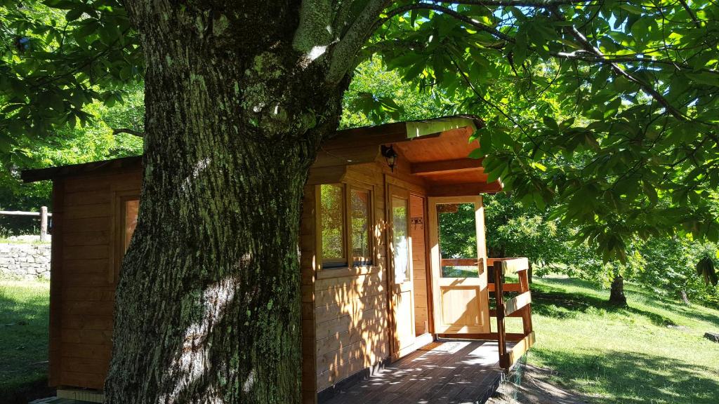 Zahrada ubytování Camping Camaldoli