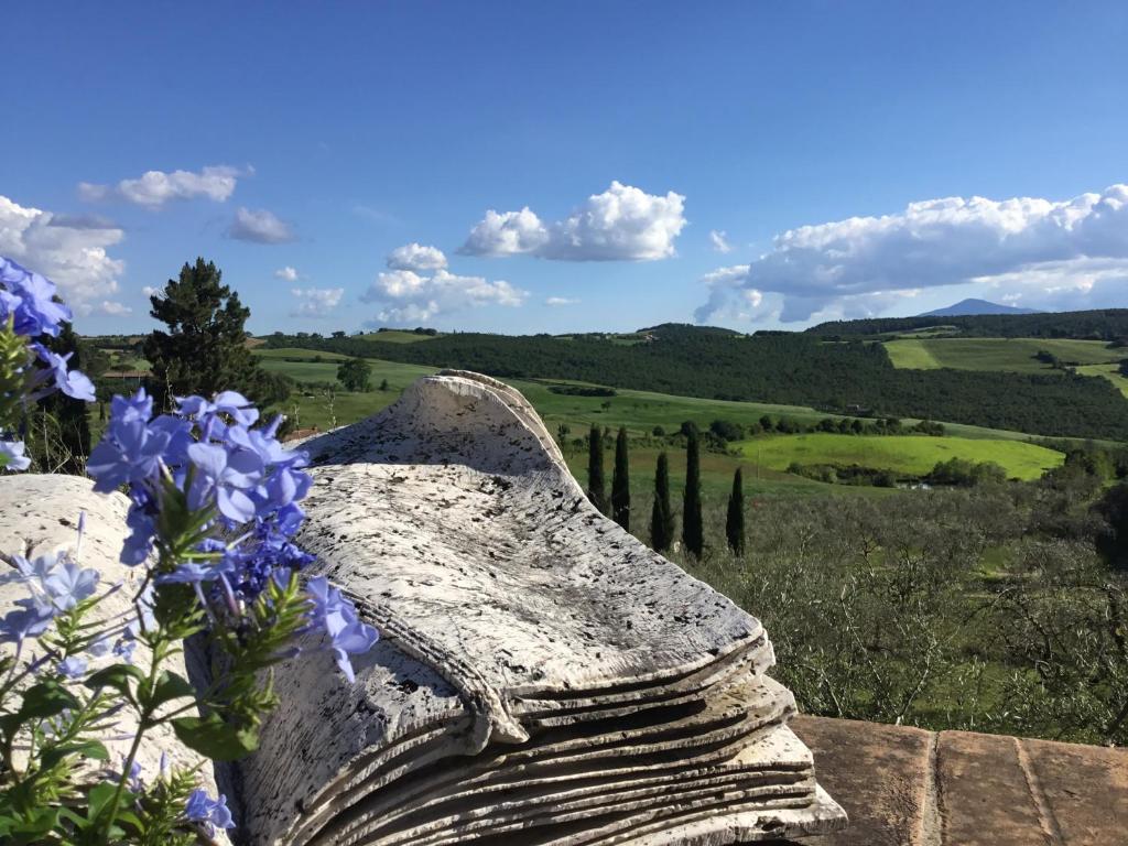 un banco de piedra con flores y vistas a un campo en Sant'Antonio Country Resort, en Montepulciano