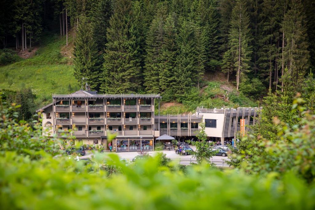 Przyroda w pobliżu tego hotelu