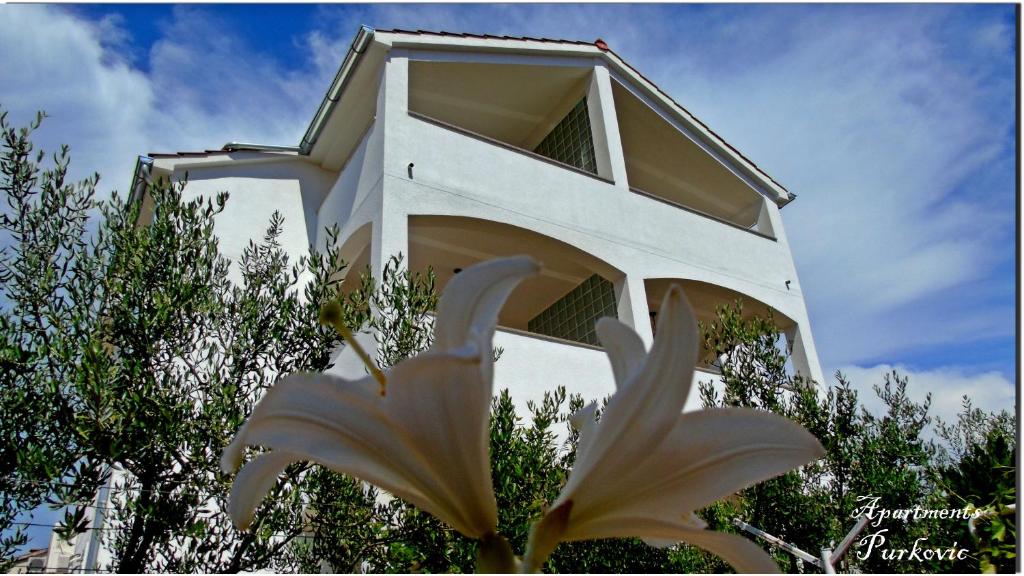 a large white flower in front of a building at Apartments Purkovic in Vodice